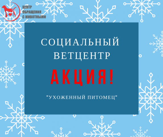 Акция "Ухоженный питомец" в Социальном ветцентре КП "Центр обращения с животными"