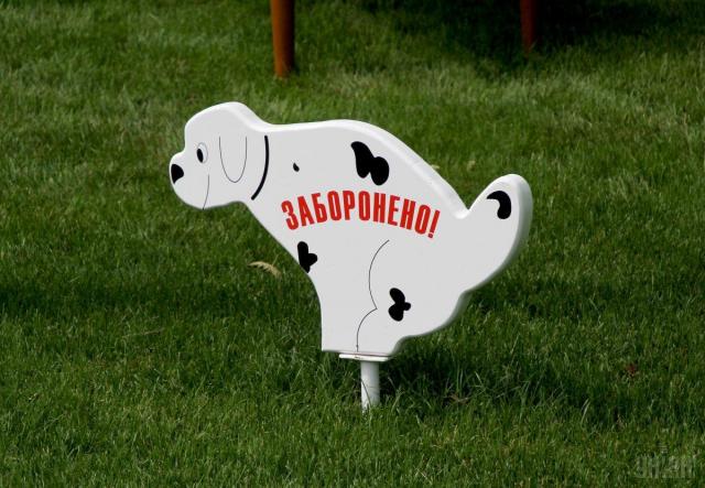 В Виннице штрафуют за выгул собак в запрещенных местах, а в Кривом Роге установили первые собачьи туалеты 