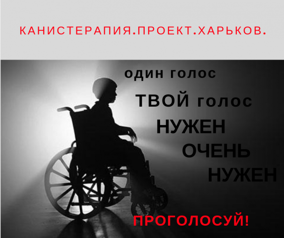 "Портал Харьковчанина" - на голосовании проект "Доступность.Канистерапия.Харьков"!
