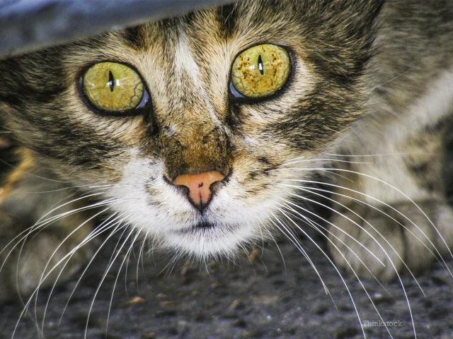 Уважаемые автомобилисты, будьте внимательны!