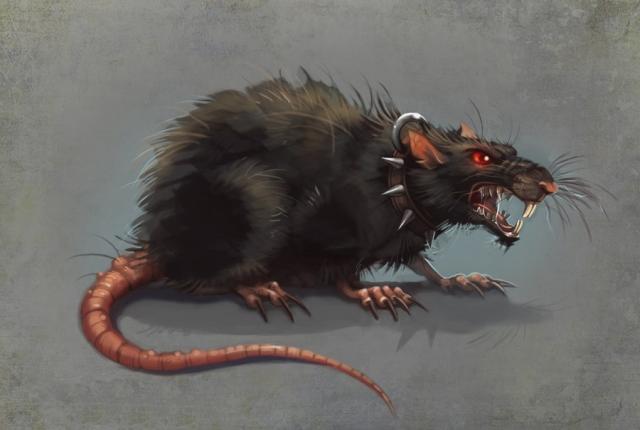 В Киеве бешеная крыса покусала зоозащитницу 