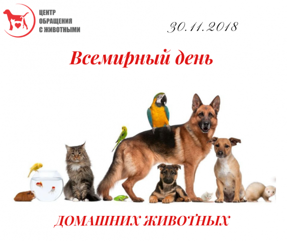 30 ноября празднуется Всемирный день домашних животных