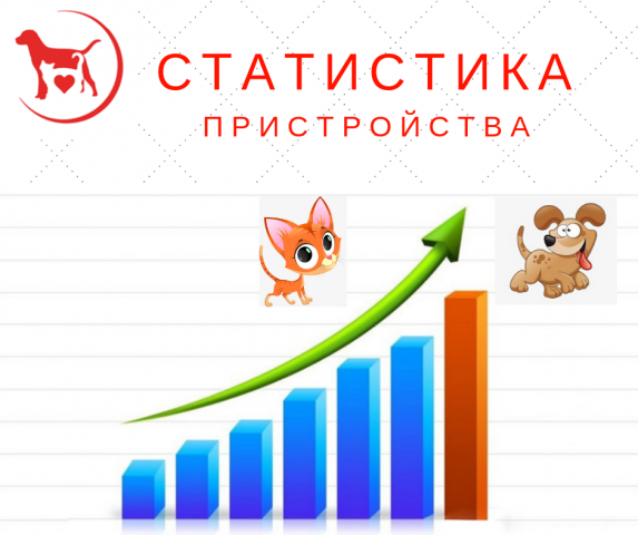 Статистика КП "Центр обращения с животными" количества пристроенных за летние месяцы животных