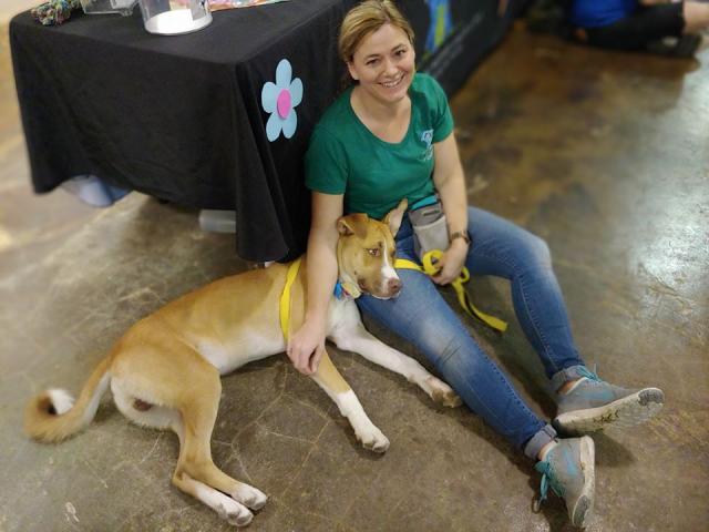 Хозяева "слишком хорошего" пса вернули его в приют