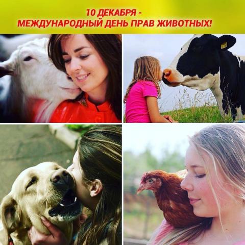 10 декабря отмечают Международный день прав животных