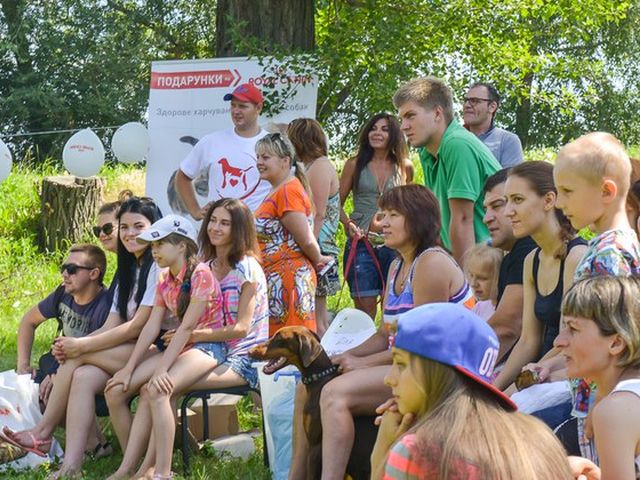 ском приюте для животных провели праздник День молодежи