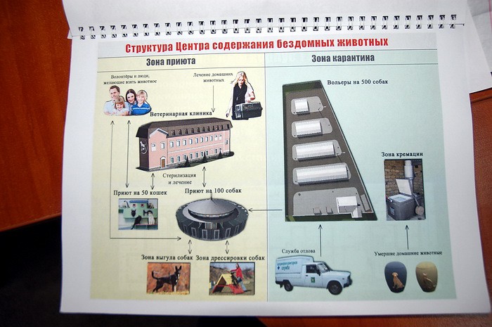 Харьковский приют для животных