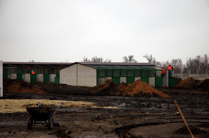 Харьковский приют для животных