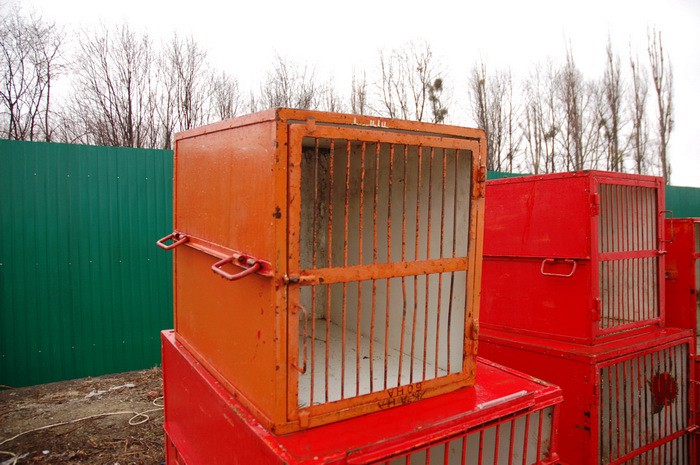 Харьковский приют для животных