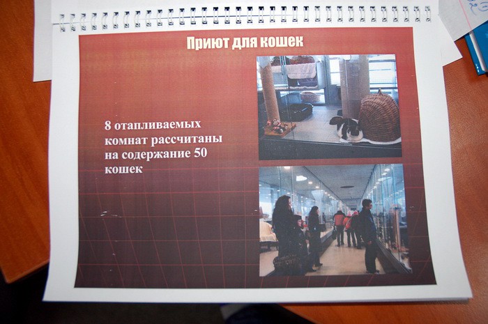 Харьковский приют для животных