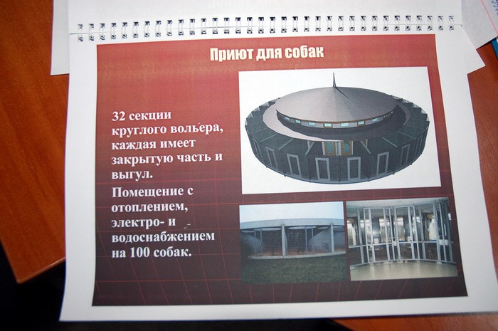 Харьковский приют для животных