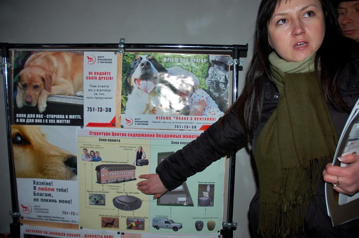 Харьковский приют для животных