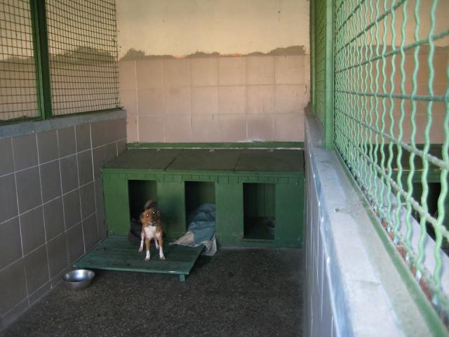 Утепление будок в КП Центр обращения с животными