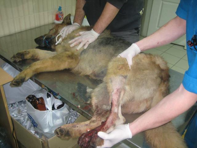 Харьковские врачи чудом вытащили с того света жертву ДТП