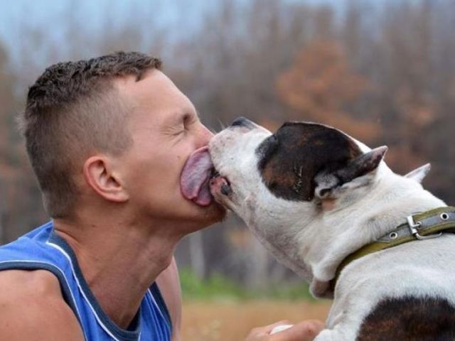 Очень опасно: не стоит кормить этим домашних животных