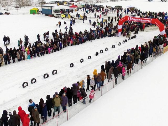 Приютские собаки нашли друзей на празднике  "Winter Dog Fest-2018"