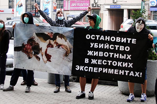 Зоозащитники борются против лаборатории HLS