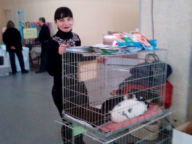 10-11 декабря прошла международная выставка кошек