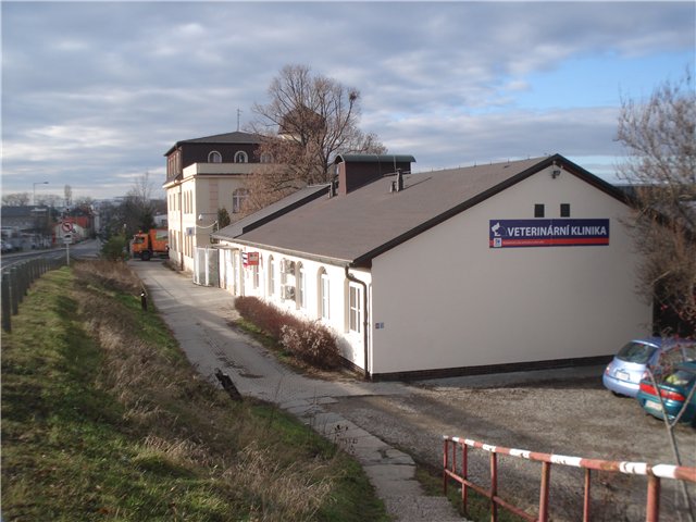 Муниципальный приют для кошек в Праге (Чехия)