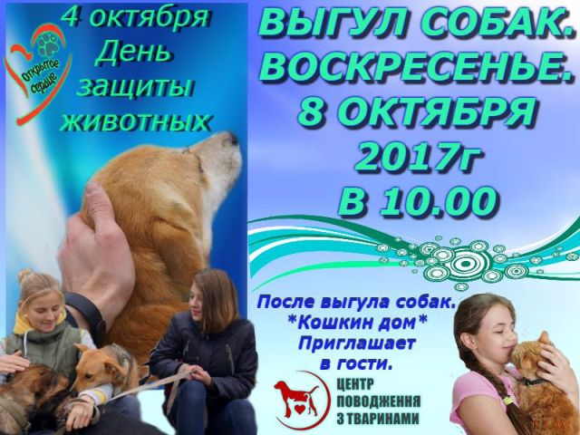 Выгул собак и посещение "Кошкин Дом" в КП Центр обращения с животными
