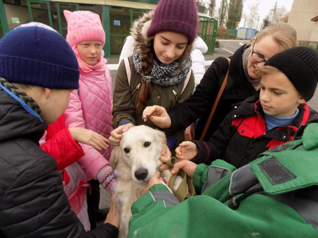 Ученики 77 харьковской школы посетили Центр обращения с животными на осенних каникулах