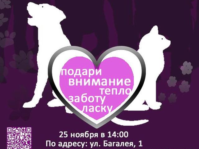 Презентация проекта "Кураторство" в лицее имени Короленко