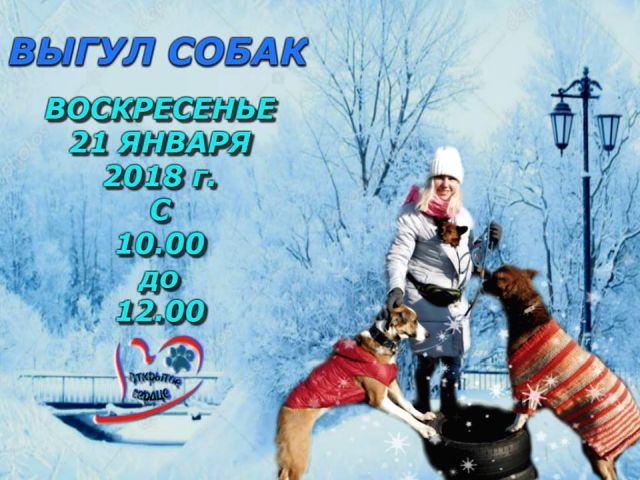 Воскресный выгул собак и посещение "Кошкин дом" 21.01.2018