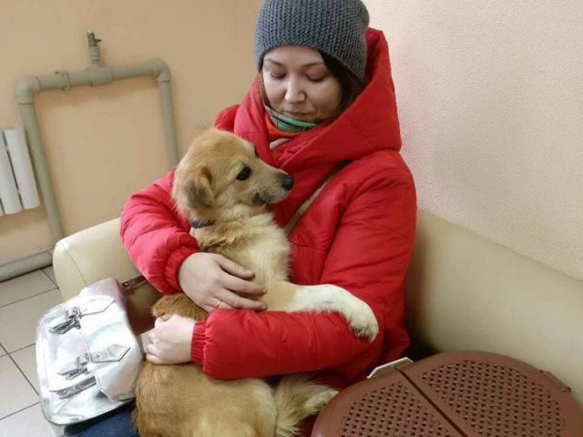 Пристроенные животные в приюте Центра обращения с животными Харьков