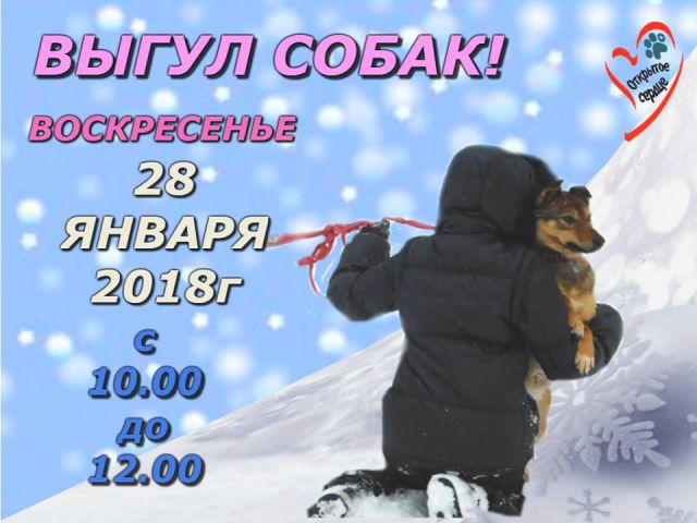 Выгул собак и посещение "Кошкин Дом" 28 января 2018 г.