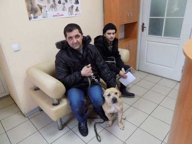 Джессика из приюта КП Центр обращения с животными нашла владельцев