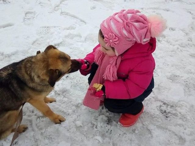 Маленькие волонтеры празднуют День рождение в Центре со своими любимыми животными. 
