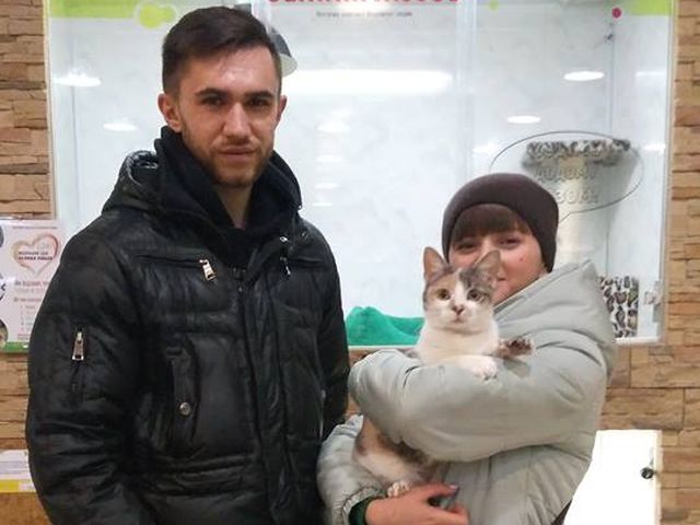 Сотрудники "Зооленда" пристроили еще одну кошку