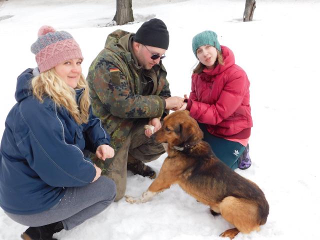 В Центре обращения с животными воскресный выгул питомцев состоится при любой погоде.  