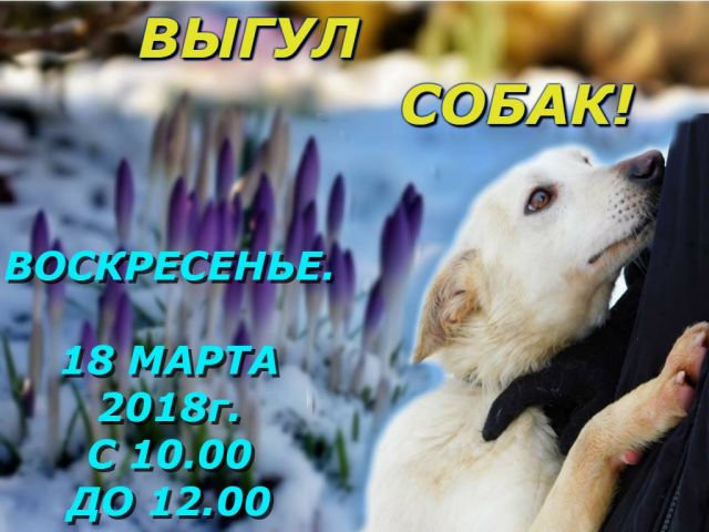 18 марта, в воскресенье в Центре обращения с животными выгул собак