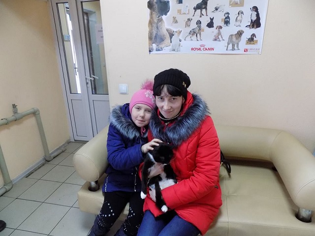 С начала года 85 собак и 94 кошки покинули муниципальный приют и стали домашними