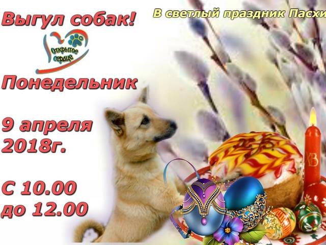 Центр обращения с животными приглашает харьковчан на экскурсию в приют 9 апреля