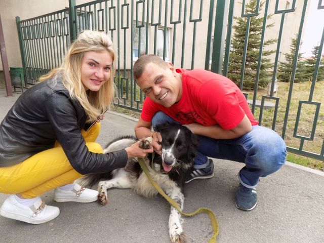 Пристроенные животные Центра содержания животных