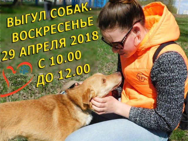 Воскресное общение с питомцами приюта в КП «Центр обращения с животными»