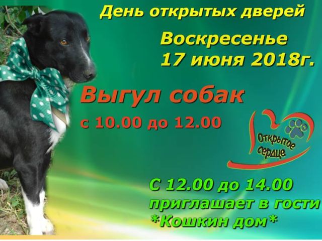 День открытых дверей