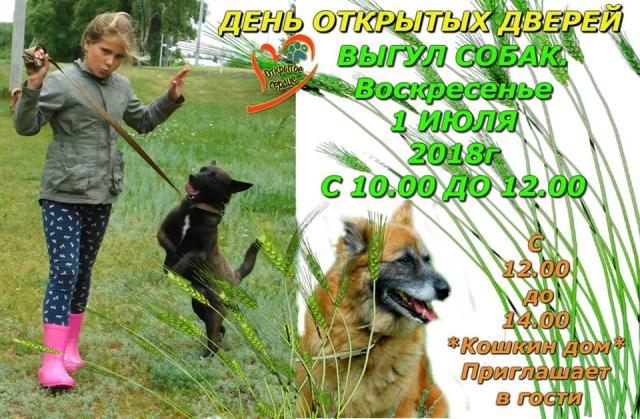 День открытых дверей в харьковском Центре содержания бездомных животных