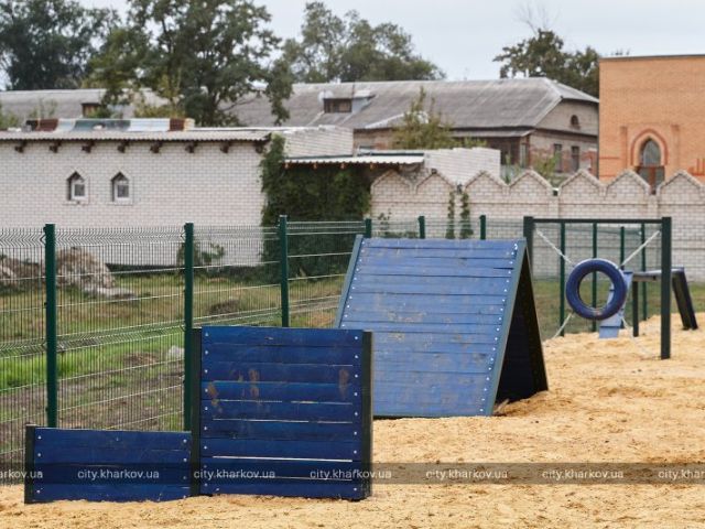 В Индустриальном районе открыли еще одну площадку для выгула собак