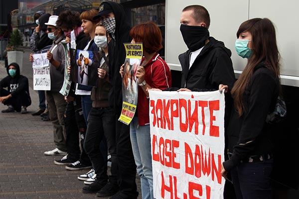 Лабораторные исследования на животных