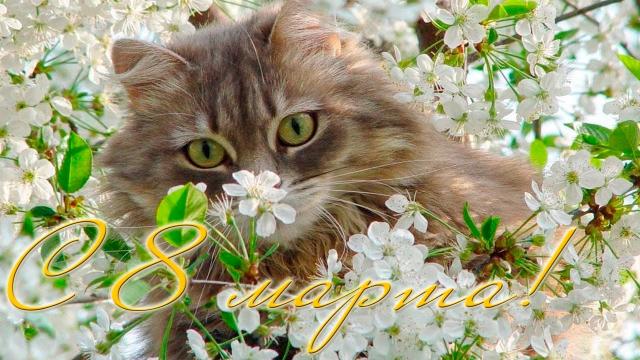 Поздравляем с Международным женским днем!