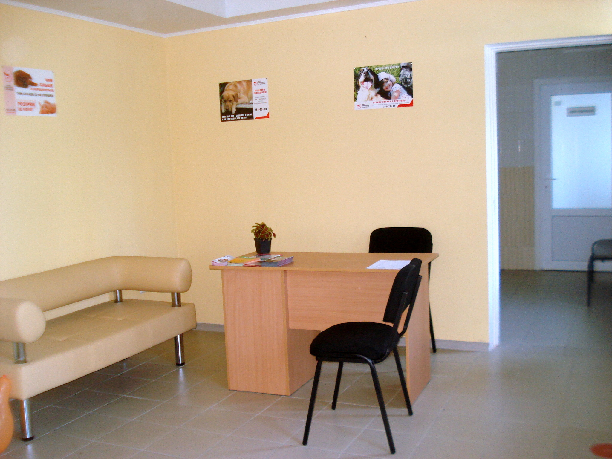 Харьковский приют для животных