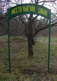 Места для выгула собак в Харькове