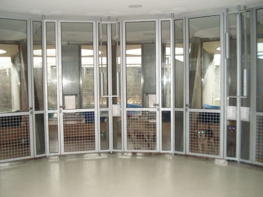 Приют для бездомных животных в Харькове