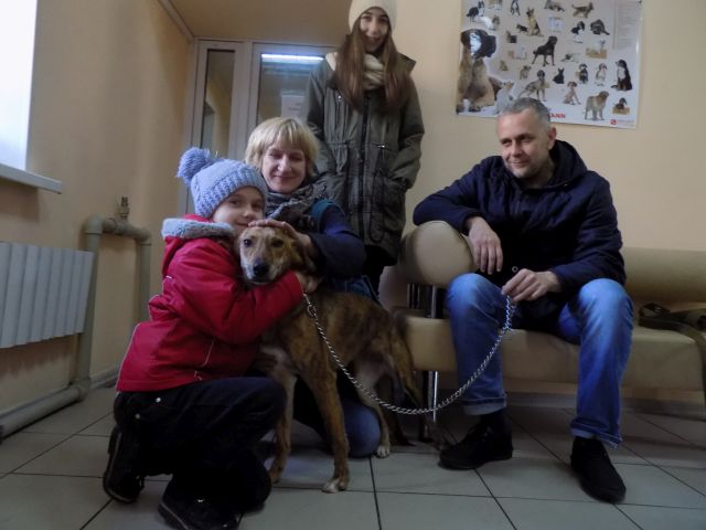 КП «Центр обращения с животными» за два месяца в добрые руки было пристроено 139 животных.