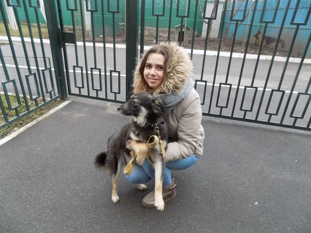 Центр обращения с животными объявляет январские итоги акции "Доброта объединяет сердца"