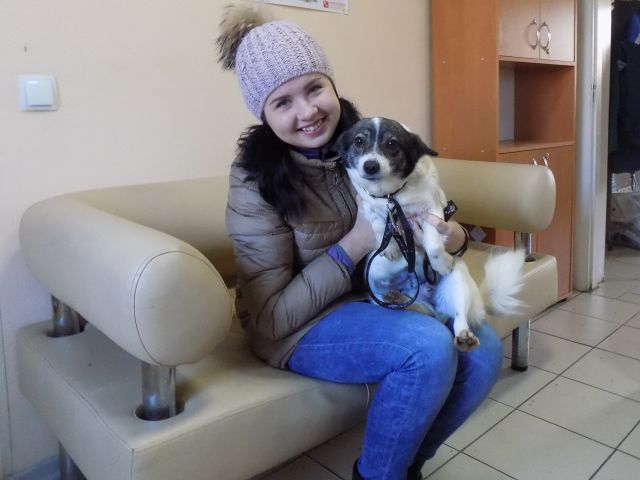 Предварительные итоги акции "Доброта объединяет сердца" Центра содержания животных