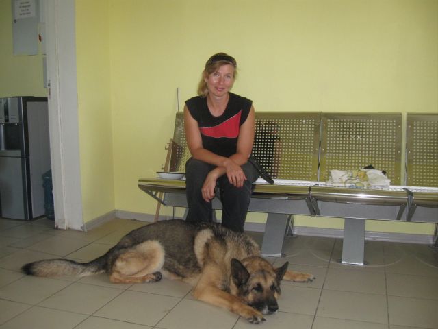 ветклинику посетили около 280 человек